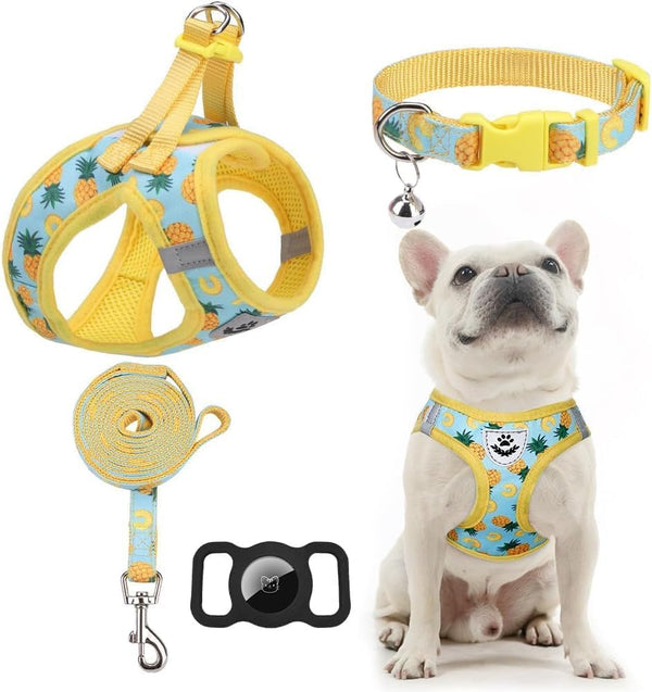 EXPAWLORER Plaid Small Dog Harness and Leash Set with Airtag Holder - No Pull Soft Padded Step in Dog Vest Harness Medium Sized Dog, Reflective Puppy Harness, Collar and Leash for Walking, Khaki S12