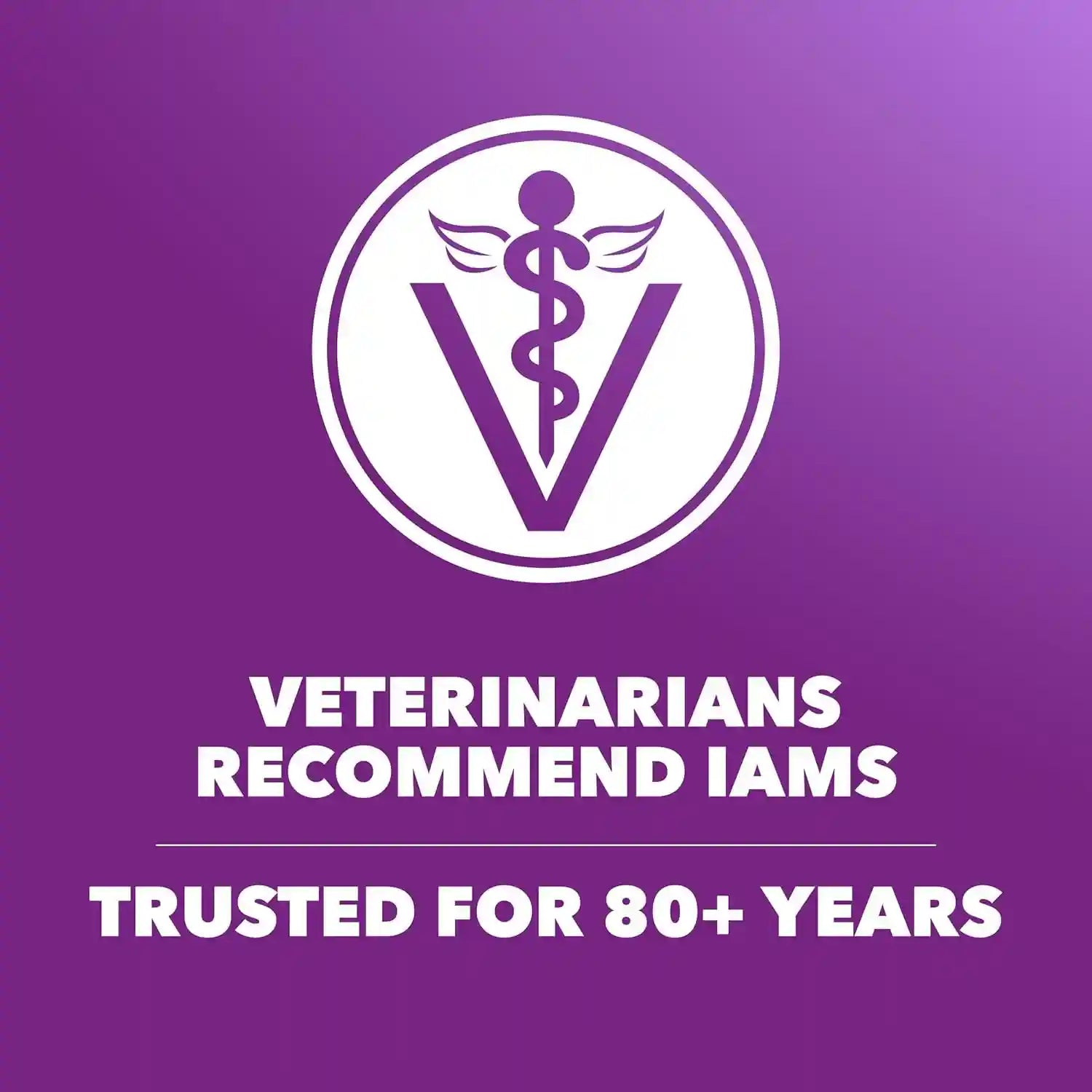 iams-advanced-health-skin-coat-dry-dog-food-chicken-salmon-27-lb-vet-recommended-omega-6-3-fatty-acids-zinc-vitamin-e-real-chicken-1-ingredient-real-salmon-no-artificial-flavors