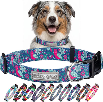 Lucky Love Dog - Easy Click Buckle Dog Collar with Leash Set Combo, Durable & Comfortable for Male & Female Dogs, Pet Collar for Medium Dogs, Secure Fit - Blackbird Combo, Medium26