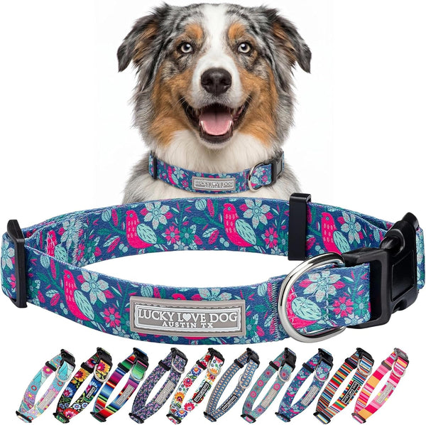 Lucky Love Dog - Easy Click Buckle Dog Collar with Leash Set Combo, Durable & Comfortable for Male & Female Dogs, Pet Collar for Medium Dogs, Secure Fit - Blackbird Combo, Medium26