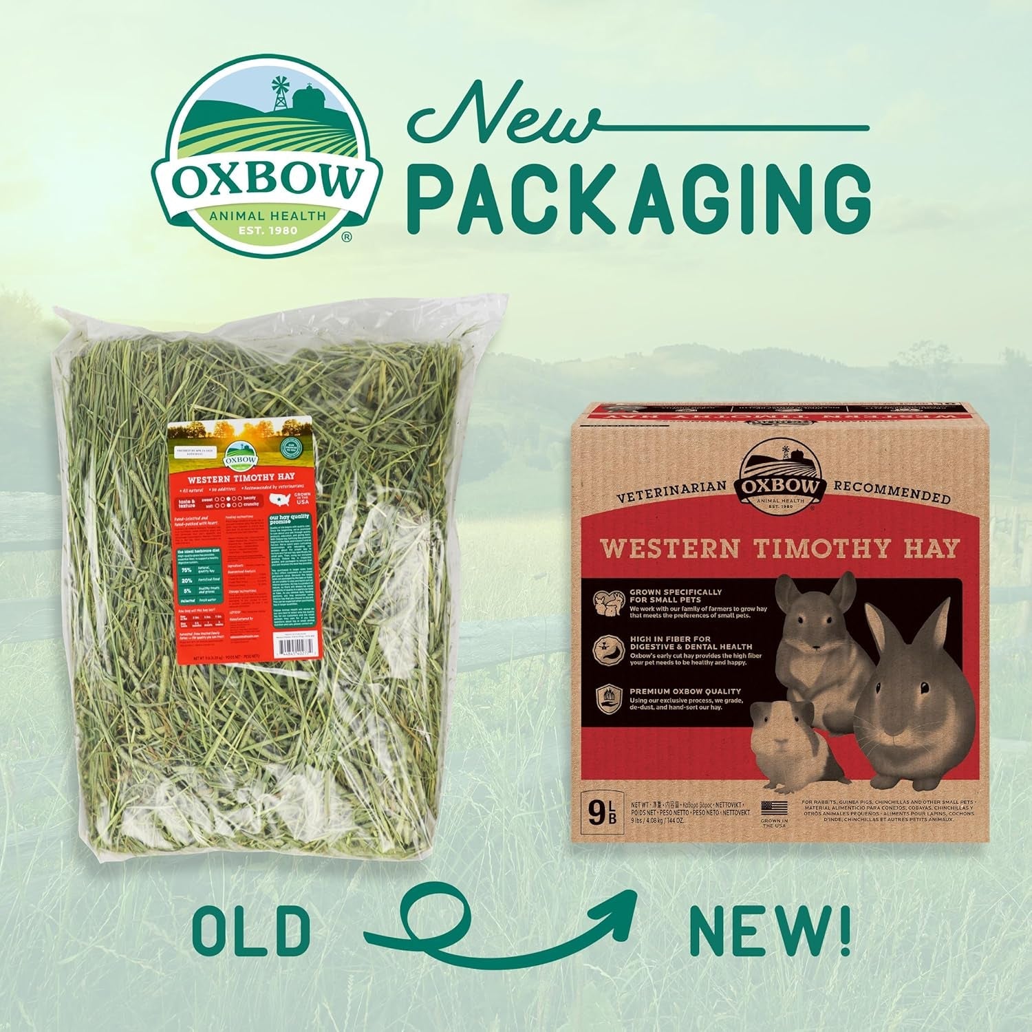 oxbow-western-timothy-hay-guinea-pig-hay-small-pet-bunny-supplies-all-natural-grass-for-guinea-pig-bunny-chinchilla-hamster-oxbow-rabbit-supplies-for-bunnies-9-lb-box-oxbow-timothy-hay-bunny-hay-for-rabbits-guinea-pigs-bunnies-and-chinchillas-hand-sorted-de-dusted-made-in-usa