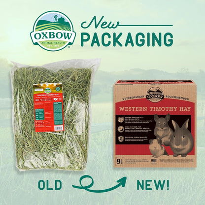 Oxbow Western Timothy Hay, Guinea Pig Hay, Small Pet Bunny Supplies, All Natural Grass for Guinea Pig, Bunny, Chinchilla & Hamster, Oxbow Rabbit Supplies for Bunnies, 9 Lb Box | Oxbow Timothy Hay, Bunny Hay for Rabbits, Guinea Pigs, Bunnies and Chinchillas, Hand-Sorted, De-Dusted, Made in USA7