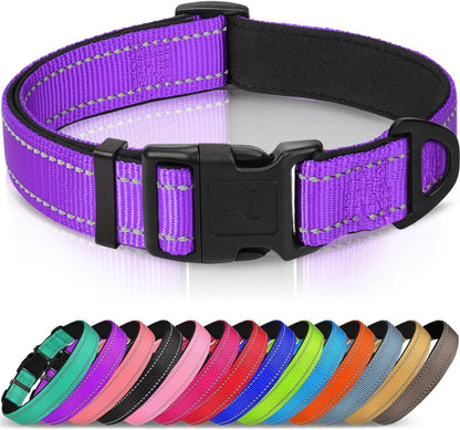 Joytale Reflective Dog Collar, Adjustable Neoprene Padded, Teal L | Breathable Nylon for Large Dogs, No Chafing on Walks and Outdoor Hikes, Tear-Resistant Webbing, Metal D-Ring, Night Safety10