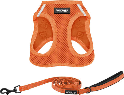 Best Pet Supplies Voyager Step-In Air All Weather Mesh Harness and Reflective Dog 5Ft Leash Combo with Neoprene Handle, for Small, Medium and Large Breed Puppies - Baby Blue, Small20