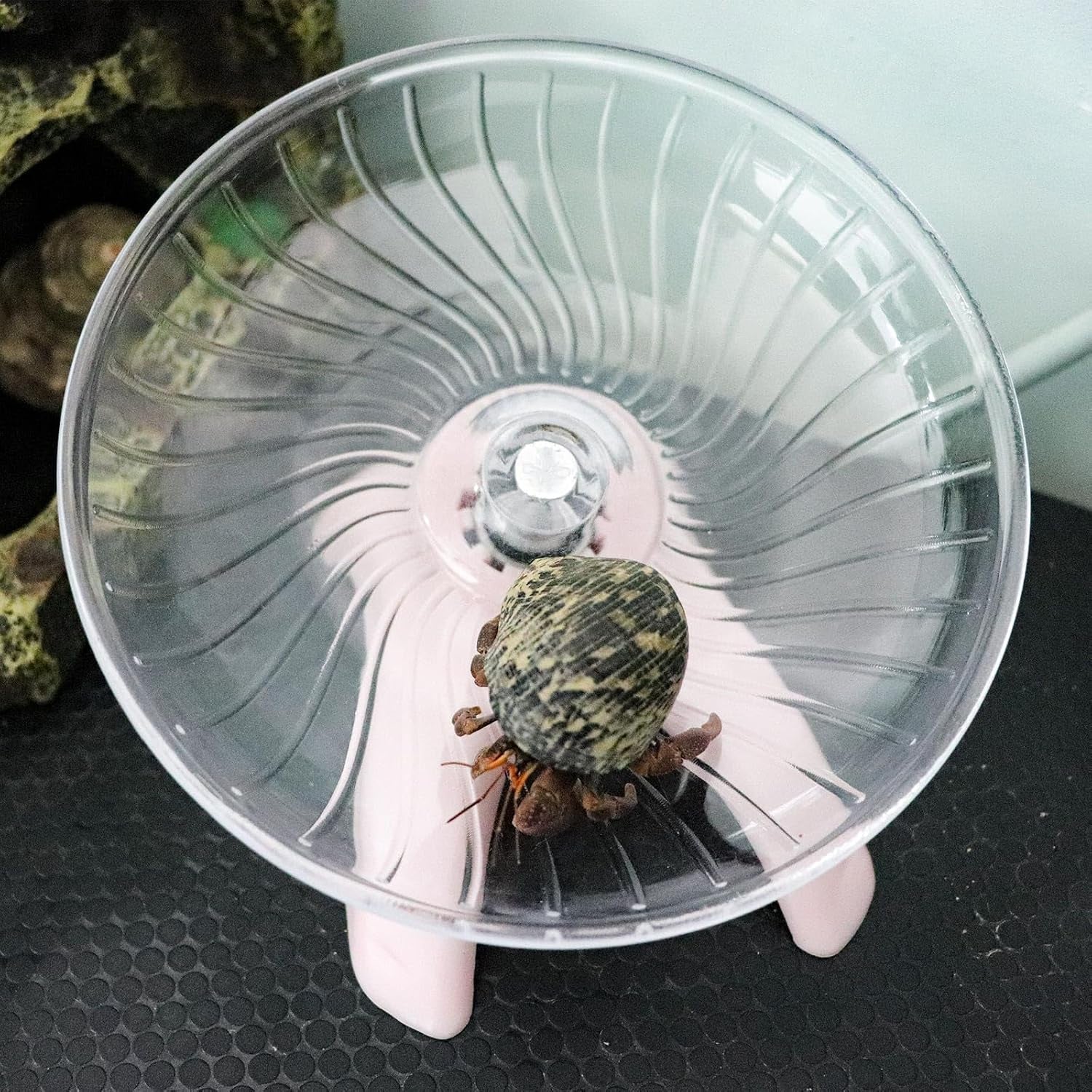 hermit-crabs-wheel-toy-hamster-running-wheel-toys-small-animals-cage-accessory-tank-accessory-suitable-for-hermit-crab-hamster-rat