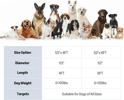 Amazon Basics round Dog Leash, Heavy Duty, Durable Rope for Small, Medium, and Large Dogs, Lightweight Design for Walking, Training, and Outdoor Activities, Blue, 6 Ft6