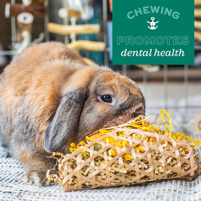Oxbow Crazy Hay Ball, Rabbit & Guinea Pig Toys, Bunny Enrichment Toys | Rabbit Chew Toys, Guinea Pig Enrichment, Guinea Pig Chew Toys, Rabbit Enrichment, Timothy Hay, Small Pet Accessories7