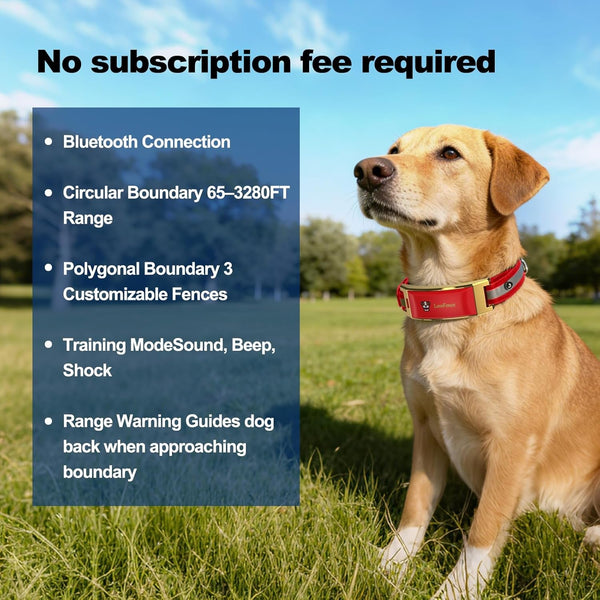 GPS Wireless Dog Collar Fence System with Free App, Smart Portable Electric Dog Fence 64-3280Ft, Waterproof, Rechargeable for Medium Large Dogs Outdoor Use4