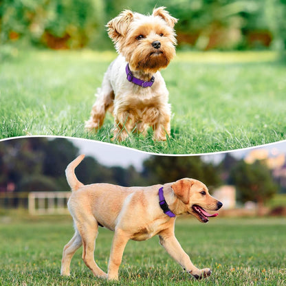 Reflective Dog Collar Padded with Soft Neoprene Breathable Quick Release Basic Dog Collars for Medium Dogs Purple Girl2