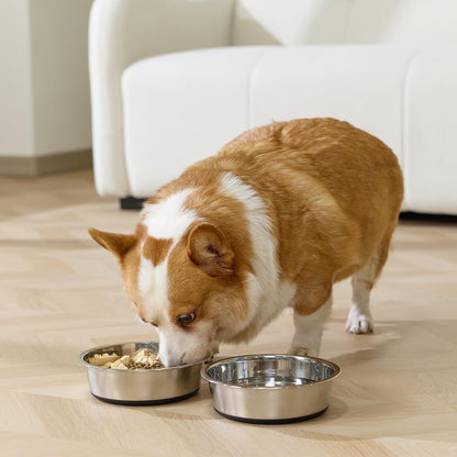 Dog Bowls Durable Non-Slip Stainless Steel Dog Bowls 2-Pack Holds 3 Cups | Basic Bowls for Dogs with Rubber Base for Dry Food, Wet Food and Water7