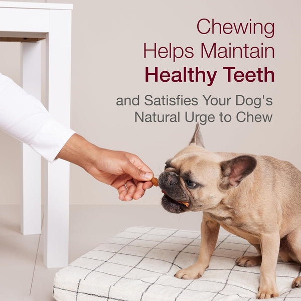 Smartbones Kabobz Rawhide-Free Dog Treat, Chicken, Pork, Duck, 18 Count | Highly Digestible, Vitamin & Mineral Enriched, Supports Dental Health, for Adult Dogs4