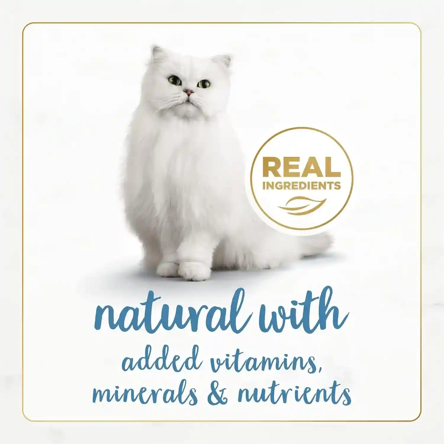 purina-fancy-feast-grain-free-wet-cat-food-pate-gourmet-naturals-trout-and-tuna-recipe-pack-of-12-3-oz-cans