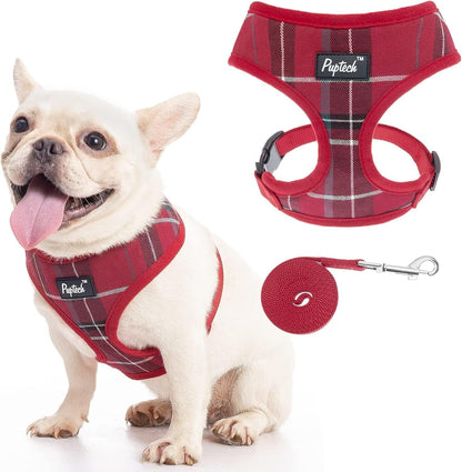 PUPTECK Soft Mesh Dog Harness Small Sized and Leash Set Pet Puppy Cat Comfort Padded Vest No Pull Harnesses, Beige, S57