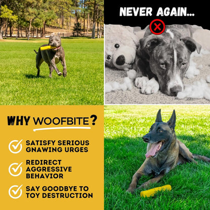 Indestructible Stick Dog Toy - Lifetime Replacement - Durable Chew Toy for Aggressive Chewers - Safe Non-Toxic Natural Rubber - Chew Tug & Fetch - Tough, Heavy Duty - Med/Large Breed, 8”X2”7