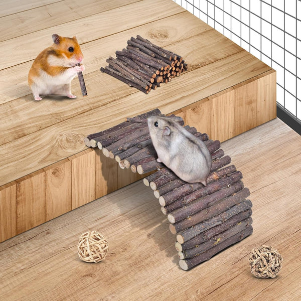 ERKOON 11 Pack Chinchillas Chew Toys, Toys Accessories for Teeth Care, Natural Apple Wood Ladder Bell Roller for Russian Hamster Gerbils Rats Guinea Pigs (11PCS)4
