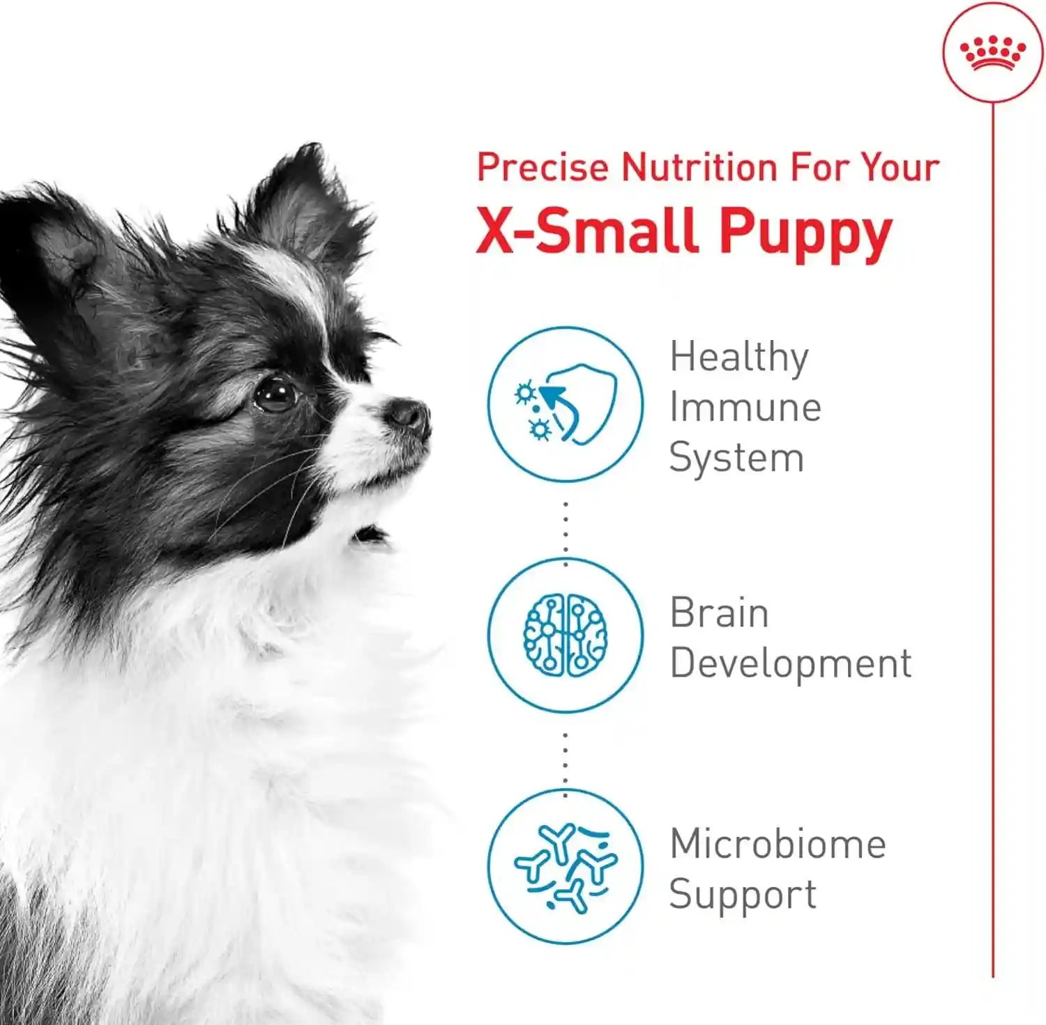 royal-canin-size-health-nutrition-x-small-puppy-dry-dog-food-3-lb-bag-specialized-nutrition-for-extra-small-breeds-supports-healthy-growth-puppy-formulation-convenient-3-lb-bag-size