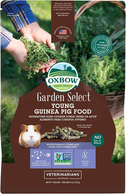 Oxbow Garden Select Adult Guinea Pig Food, Pellets with Vitamin C, 8 Lb | Non-Gmo, Adult Guinea Pig Pellets, with Timothy, Orchard and Oat Hay, Vitamins and Minerals, High Fiber, Made in USA11