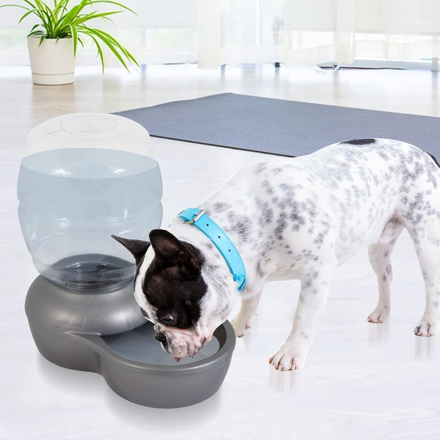 pet-fountain-charcoal-water-filter-replacement-dog-cat-water-bowl-filter-pet-water-filter-fit-for-gravity-waterer-bowls-pack-of-8