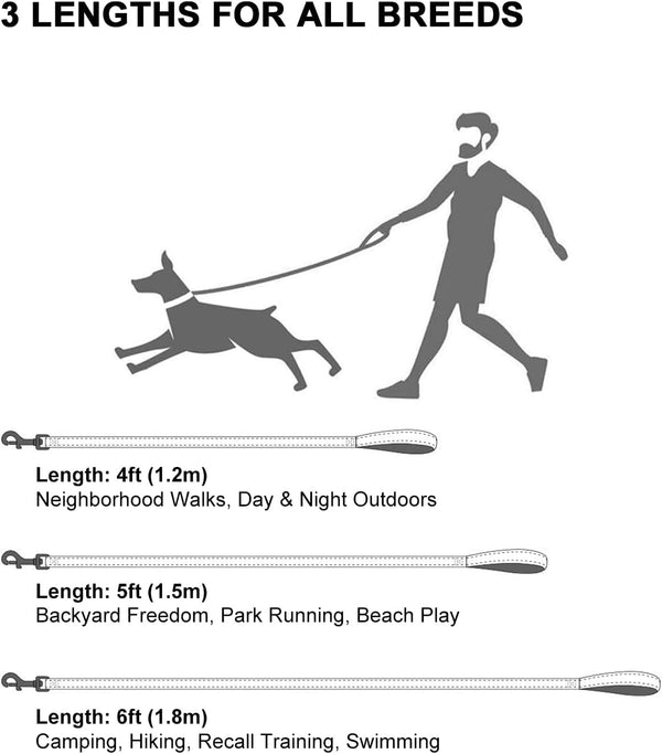 Taglory Reflective Dog Leash for Small Dogs, 3/4In X 6Ft, Black | Ideal for Night Walking, Strong for Sudden Pulls, Lightweight & Gentle on the Neck, Soft Padded Handle7