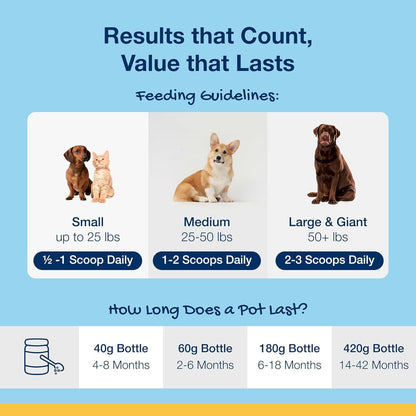 Proden Plaqueoff Powder for Dogs - Dog Tartar and Plaque Remover - 60G | VOHC Accepted Dental Powder for Pet Oral Care - Supports Fresher Breath and Dental Hygiene - 100% Natural Kelp Formula6