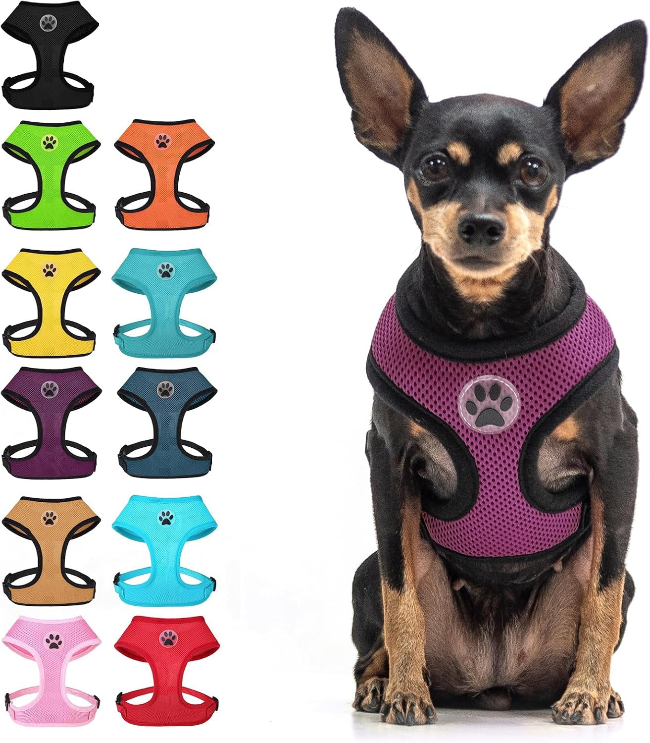 bingpet-small-dog-harness-no-pull-dog-harness-small-sized-dogs-soft-light-breathable-mesh-puppy-vest-with-safety-buckle-adjustable-step-in-pet-harnesses-for-easy-walking-running-training