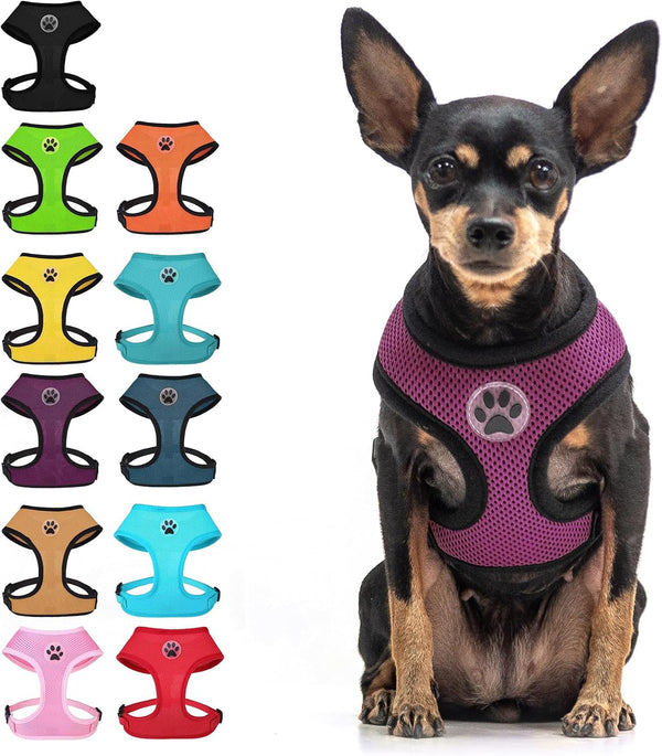 BINGPET Small Dog Harness, No Pull Dog Harness Small Sized Dogs, Soft Light Breathable Mesh Puppy Vest with Safety Buckle-Adjustable Step in Pet Harnesses for Easy Walking, Running, Training10