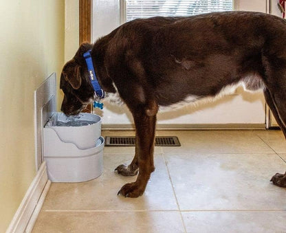 Perpetual Well Automatic Pet Water Bowl (Wall Mount)3