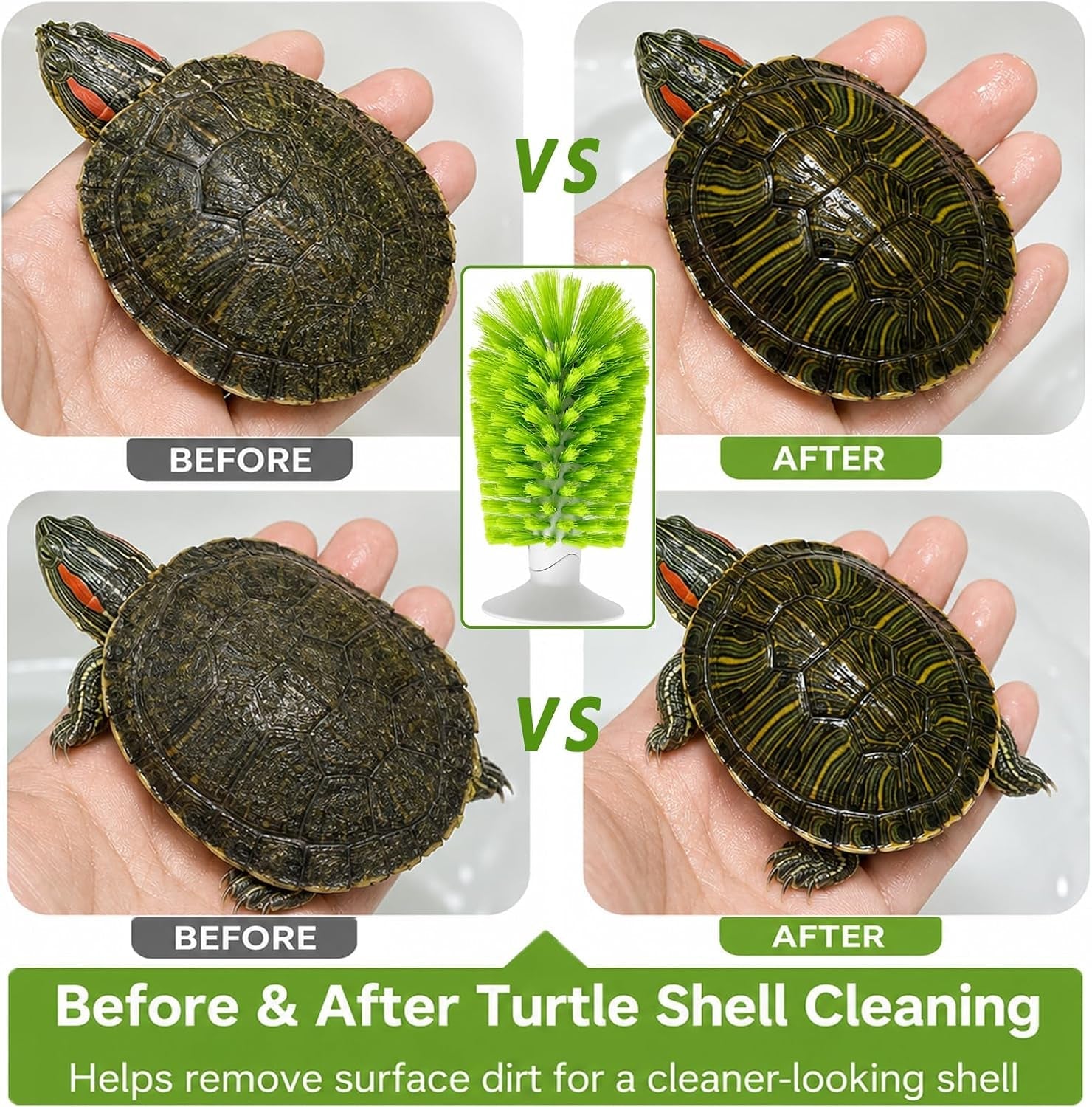 turtle-scrub-brush-turtle-scratches-back-brush-turtle-shell-clean-brush-with-suction-cup-turtle-exfoliate-brush-tank-tortoise-brush-for-remove-turtle-shell-scutes-mud-dirt