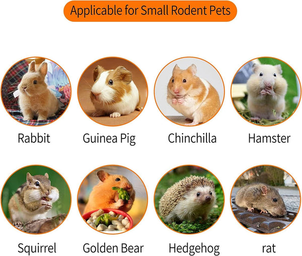 700G Apple Sticks Molar Wood Treats, Rabbit Toys Chinchilla Guinea Pig Bunny Toys Wood Chews Sticks for Teeth Rabbit Food Guinea Pig Hamster Gerbil Chews Small Animals Snacks(200 Pcs)5