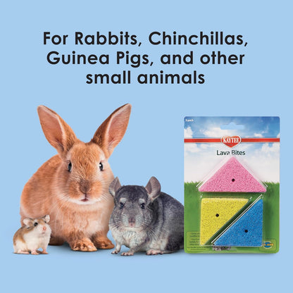 Kaytee Lava Bites Chew Toy for Chinchillas, Hamsters and Gerbils, 3 Pack4