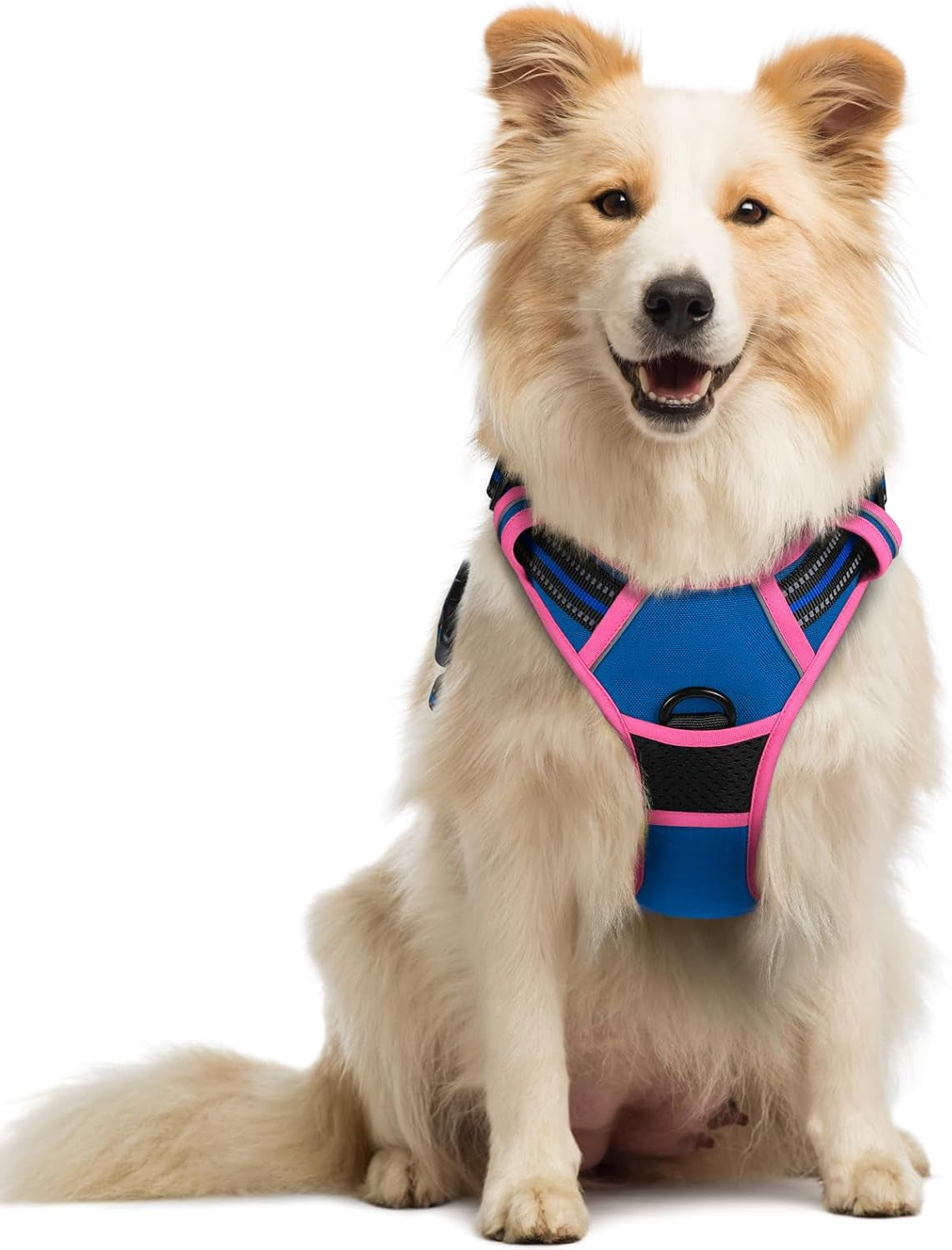 rabbitgoo-dog-harness-no-pull-for-large-dogs-with-2-leash-clips-pet-vest-no-choke-with-handle-adjustable-soft-padded-reflective-easy-control-for-walking-black-large