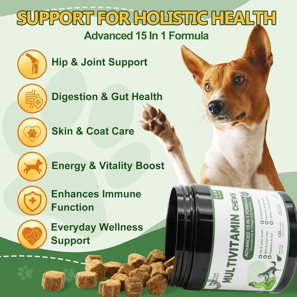 NATURE TARGET Multivitamin for Dogs, 120 Soft Chews, Chicken Flavor | with MSM & Glucosamine, Omegas 3 & 6, & Probiotics for Digestive Health, Joint Support, Skin & Coat, Immune & Overall Health2