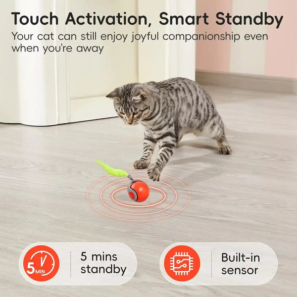 Potaroma Moving Ball Cat Toys with Feather Tail, Rechargeable | 2026 New Interactive Toy for Indoor Cats Exercise, Smart Interactive Kitten Rolling Ball, Orange4