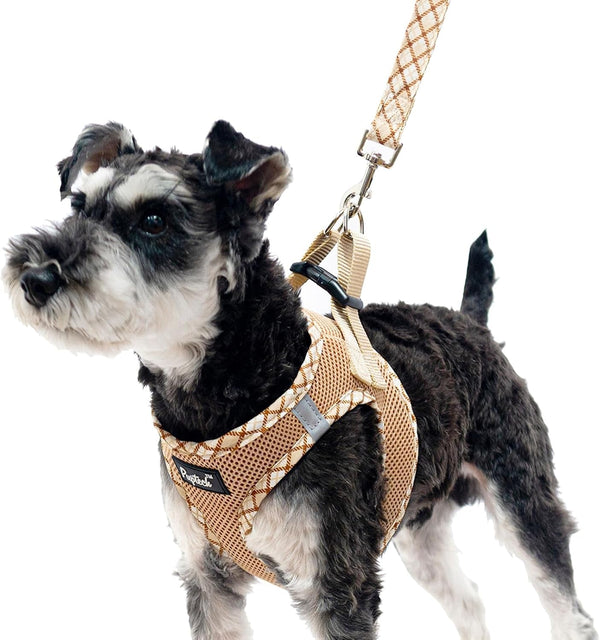 PUPTECK Dog Harness and Leash Set for Small Medium Dogs No Pull Step-In Soft Mesh Puppy Cat Vest Harnesses Reflective at Night, Green S6