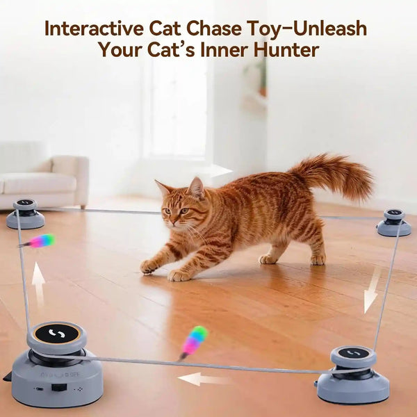 Jripae Interactive Cat Toys for Indoor Cats Automatic Smart DIY Multi-Track Cat Feather Toy, Electric Moving Treadmill Cat Toy for Bored Kittens & Adult Cats Play Chase Run Hunt Instinct Exercise4