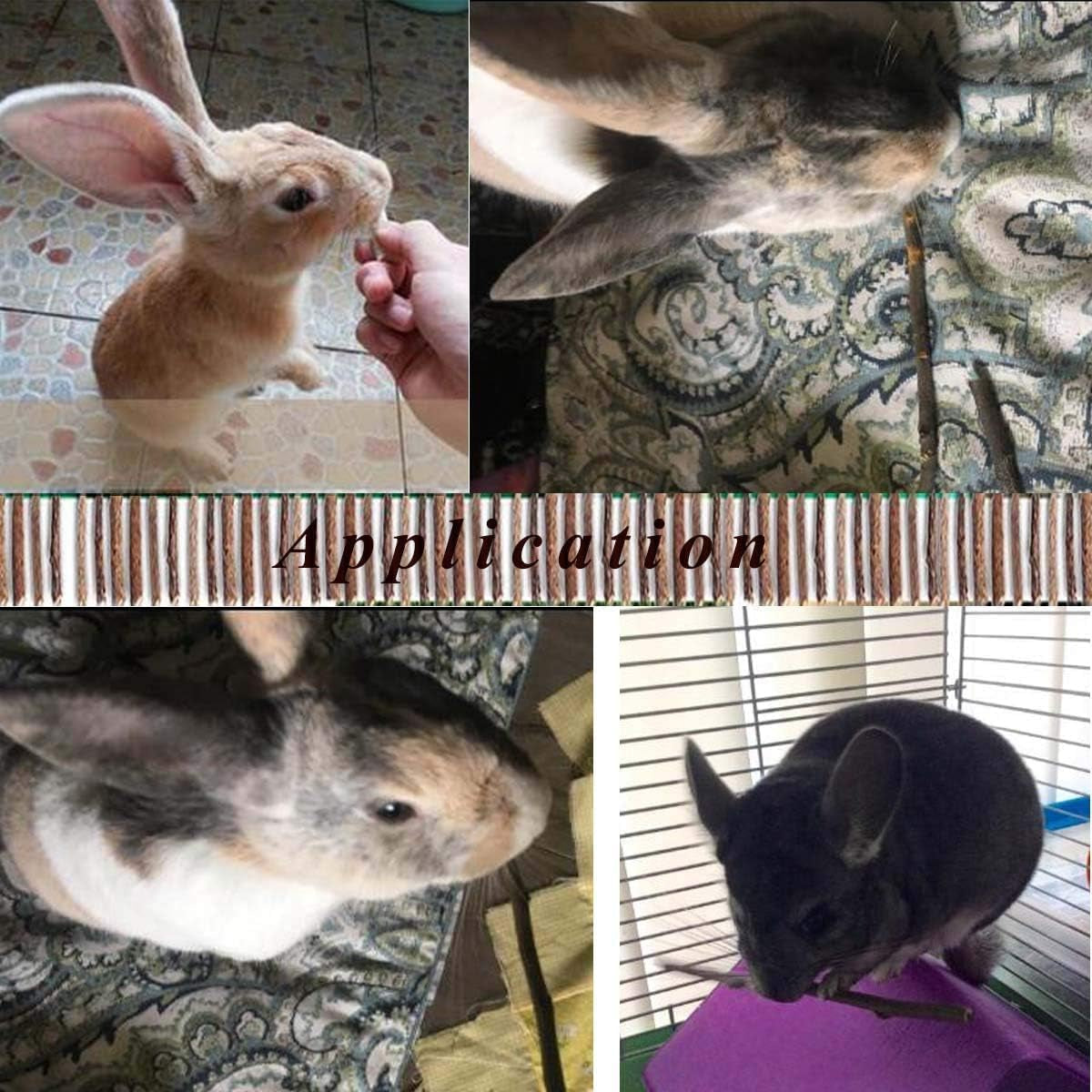 william-craft-apple-sticks-pet-chew-toy-treats-for-chinchilla-guinea-pigs-rabbits-squirrel-hamster-bunny