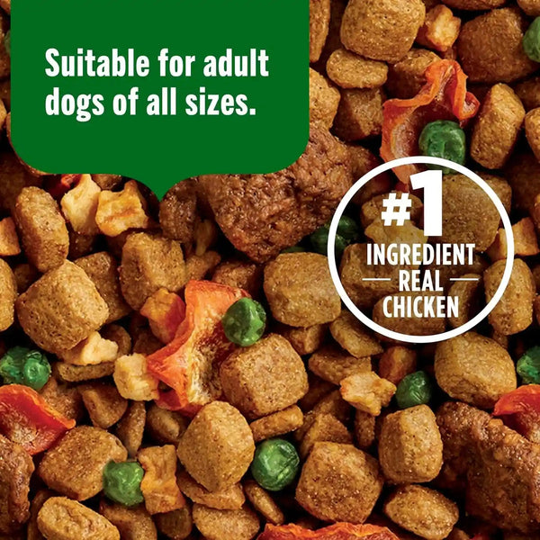 Nutrish Dish Chicken & Brown Rice Recipe with Veggie & Fruit Blend Dry Dog Food, 3.75 Lb. Bag (Rachael Ray)6