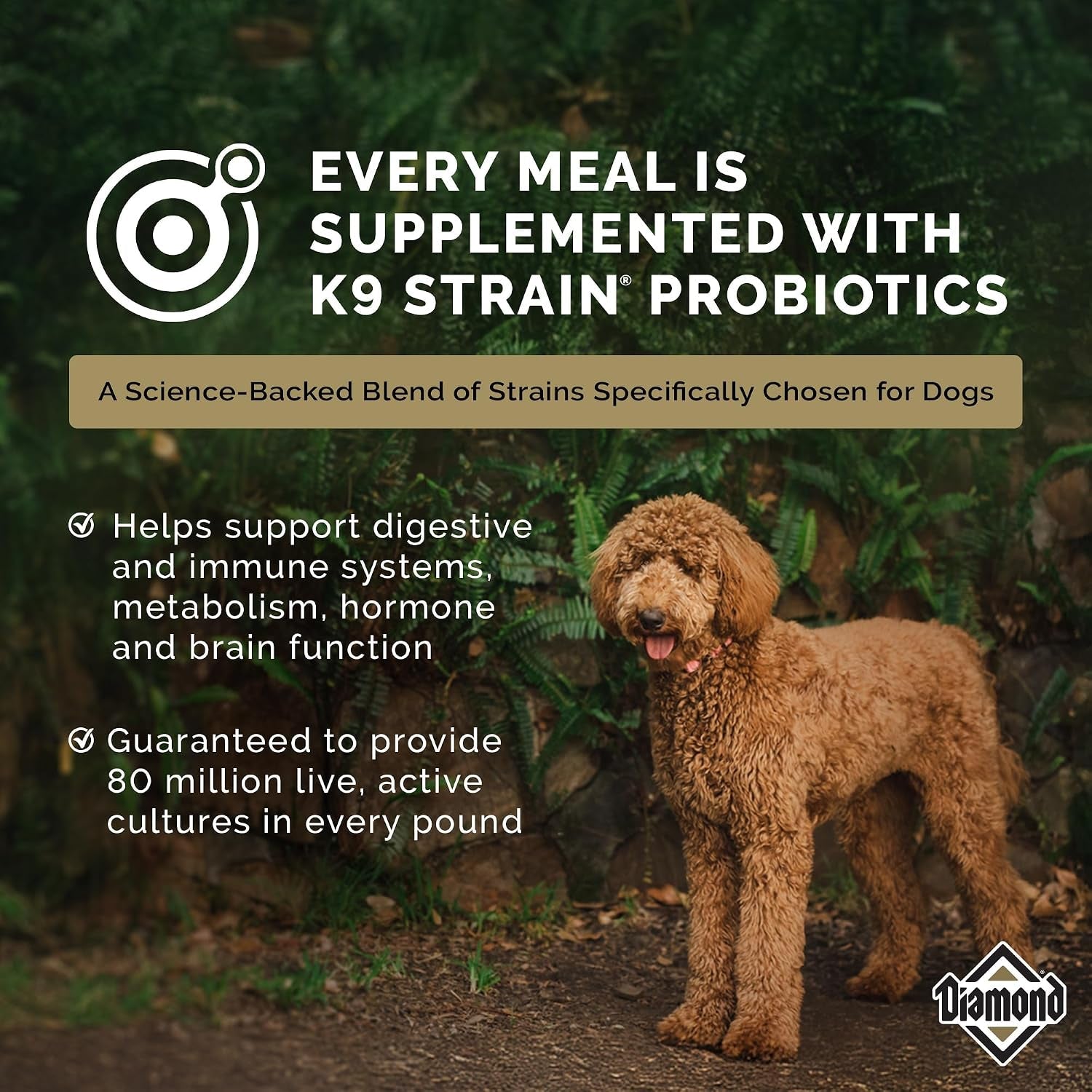 diamond-maintenance-adult-dry-dog-food-chicken-protein-40lb-for-moderately-active-dogs-omega-fatty-acids-help-support-healthy-skin-shiny-coat-guaranteed-probiotics