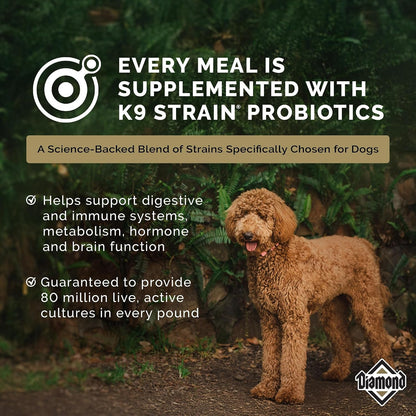 Diamond Maintenance Adult Dry Dog Food, Chicken Protein, 40Lb | for Moderately Active Dogs | Omega Fatty Acids Help Support Healthy Skin & Shiny Coat | Guaranteed Probiotics6
