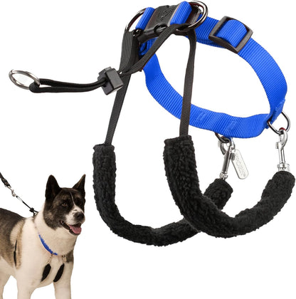 Sporn Head Halter for Dogs, No Pull Dog Harness, Durable Nylon Training Collar for Large Breeds, No Choke Design, Padded Restraints, Adjustable Fit, Easy On/Off, Black, Large19