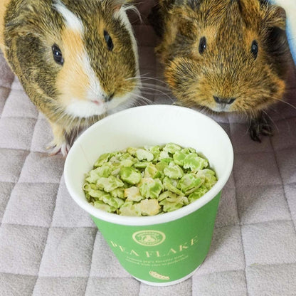 Guineadad Pea Flakes for Guinea Pigs – Premium Guinea Pig Food & Treats – Natural Pea Flakes for Small Pets – High in Vitamins & Minerals - Large4