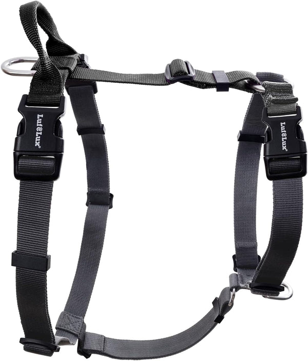 No Pull Dog Harness, Small, Purple/Black | Non Restrictive, Neck Buckle Design, Six Points Adjustment, Lightweight Easy Walk, Small Dogs Chest(17-23Inches)10