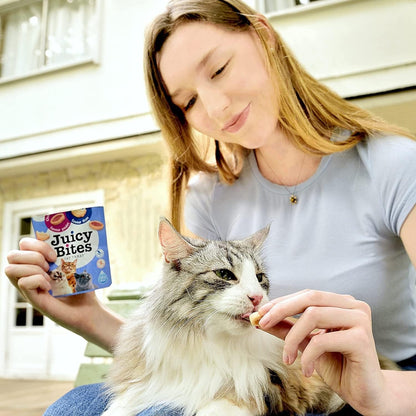 INABA Juicy Bites Grain-Free, Soft, Moist, Chewy Cat Treats with Vitamin E and Green Tea Extract, 0.4 Ounces per Pouch, 9 Pouches Total (3 per Bag), Scallop and Crab Flavor8