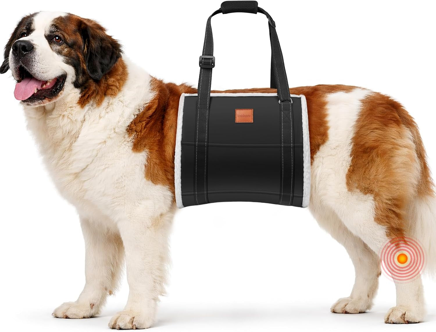loobani-adjustable-dog-sling-for-large-dogs-hind-leg-support-acl-recovery-walking-stair-assistance-senior-dog-mobility-padded-comfort-adjustable-fit-lightweight-nylon-soft-plush-lining