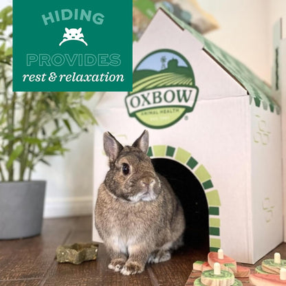 Oxbow Timothy Hay Bungalow, Guinea Pig Hideout & Rabbit House, Large | Bunny Hideout, Rabbit Hide, Guinea Pig House, Hand-Woven, Timothy Hay for Guinea Pigs, Chinchillas and Rats, Edible7