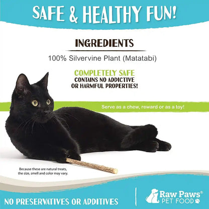 Raw Paws Silvervine Sticks for Cats (30-Count) - Dental Cat Chew Stick | Catnip Alternative - Matatabi Cat Toy - Silver Vine Sticks - Indoor Cat Enrichment & Chewing4