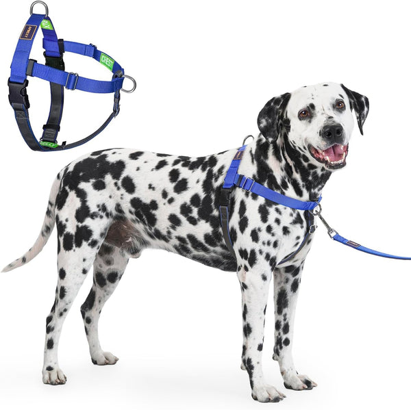 Freedom No Pull Dog Harness, Purple, Large | Designed for Hound Dog Train, Easy Walk with 2 Stainless D-Rings, Sewn-In Instructions Tags, 60-80 Lbs8
