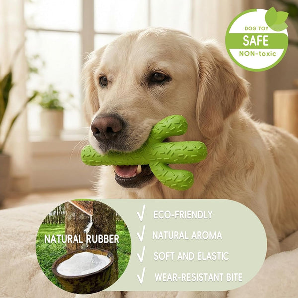 Mewajump Dog Chew Toys, Durable Rubber Dog Toys for Aggressive Chewers, Cactus Tough Toys for Training and Cleaning Teeth, Interactive Dog Toys for Medium/Large Dog2