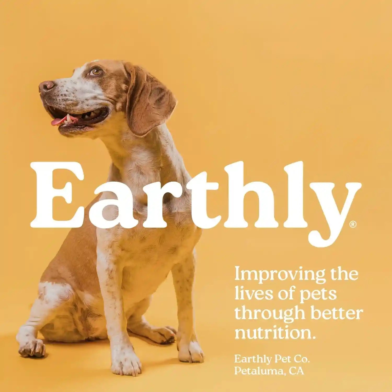 presidio-earthly-pill-buddy-naturals-pb-apple-recipe-pill-hiding-treats-for-dogs-make-a-perfect-pill-concealing-pocket-or-pouch-for-any-size-medication-30-servings