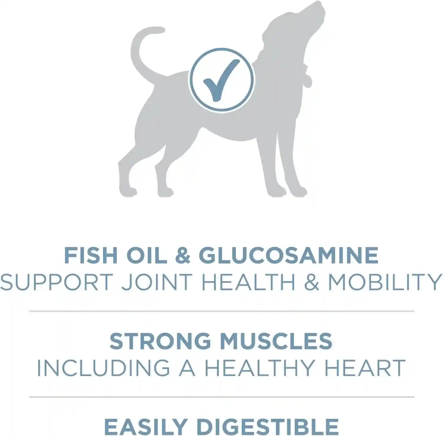 purina-one-plus-joint-health-formula-natural-with-added-vitamins-minerals-and-nutrients-dry-dog-food-31-1-lb-bag